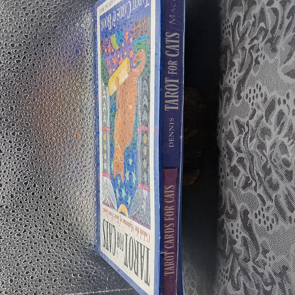 Tarot for Cats - Picture 5 of 5